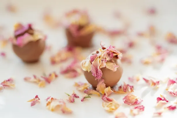 Kasino Vegas Spins Android/iOS Sovellus